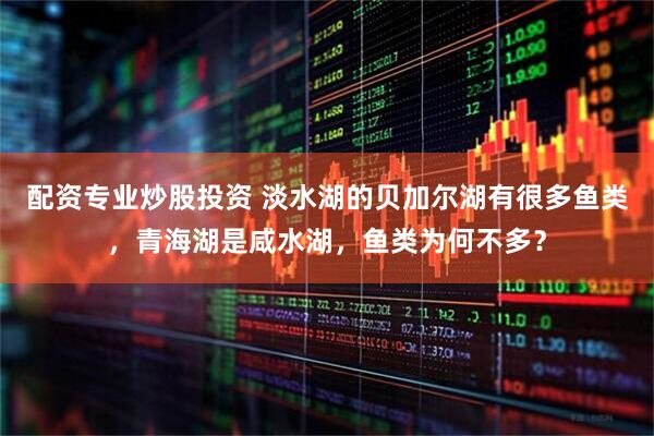 配资专业炒股投资 淡水湖的贝加尔湖有很多鱼类，青海湖是咸水湖，鱼类为何不多？